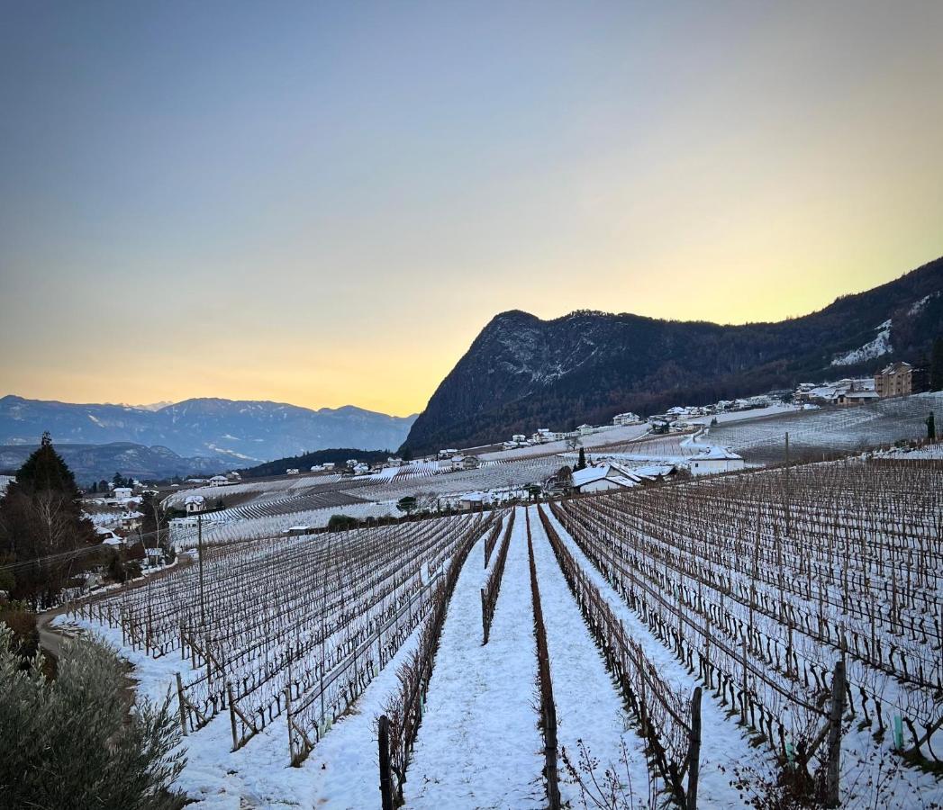 Strahlerhof Daire Appiano Sulla Strada Del Vino Dış mekan fotoğraf