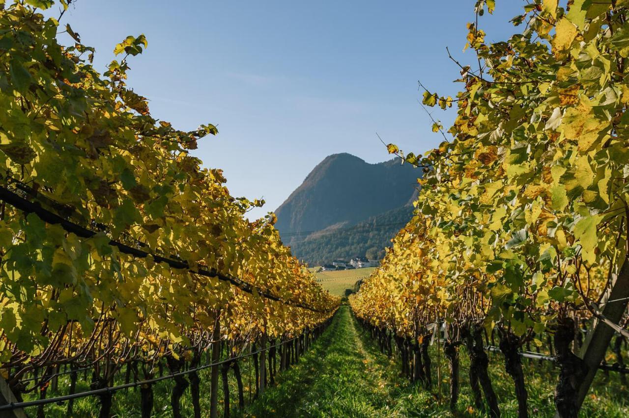 Strahlerhof Daire Appiano Sulla Strada Del Vino Dış mekan fotoğraf