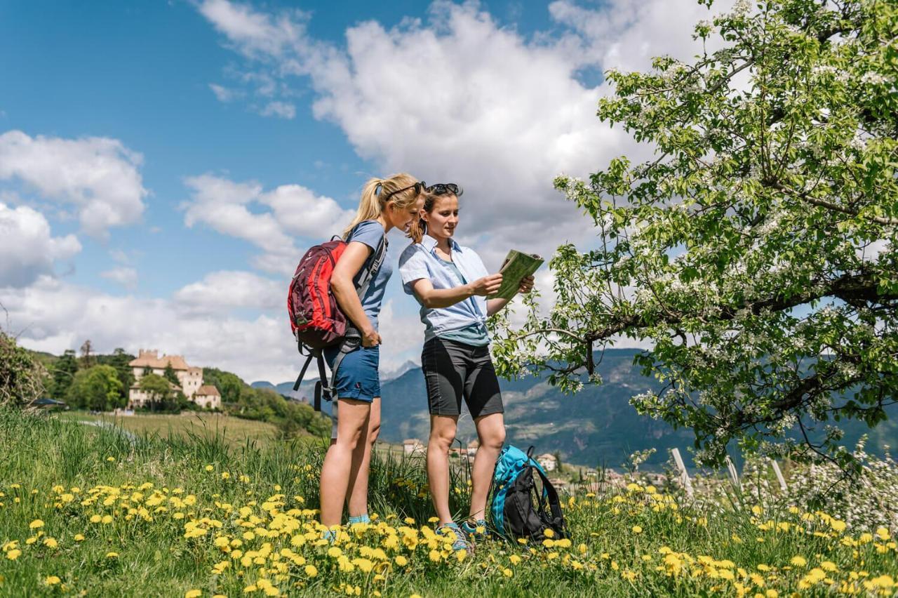 Strahlerhof Daire Appiano Sulla Strada Del Vino Dış mekan fotoğraf